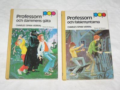 Professorn och dammens gåta