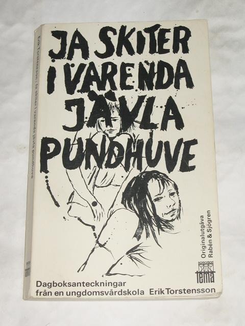 Ja skiter i varenda jävla pundhuve : dagboksanteckningar från en ungdomsvårdsskola