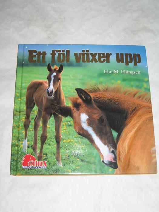 Ett f&ouml;l v&auml;xer upp