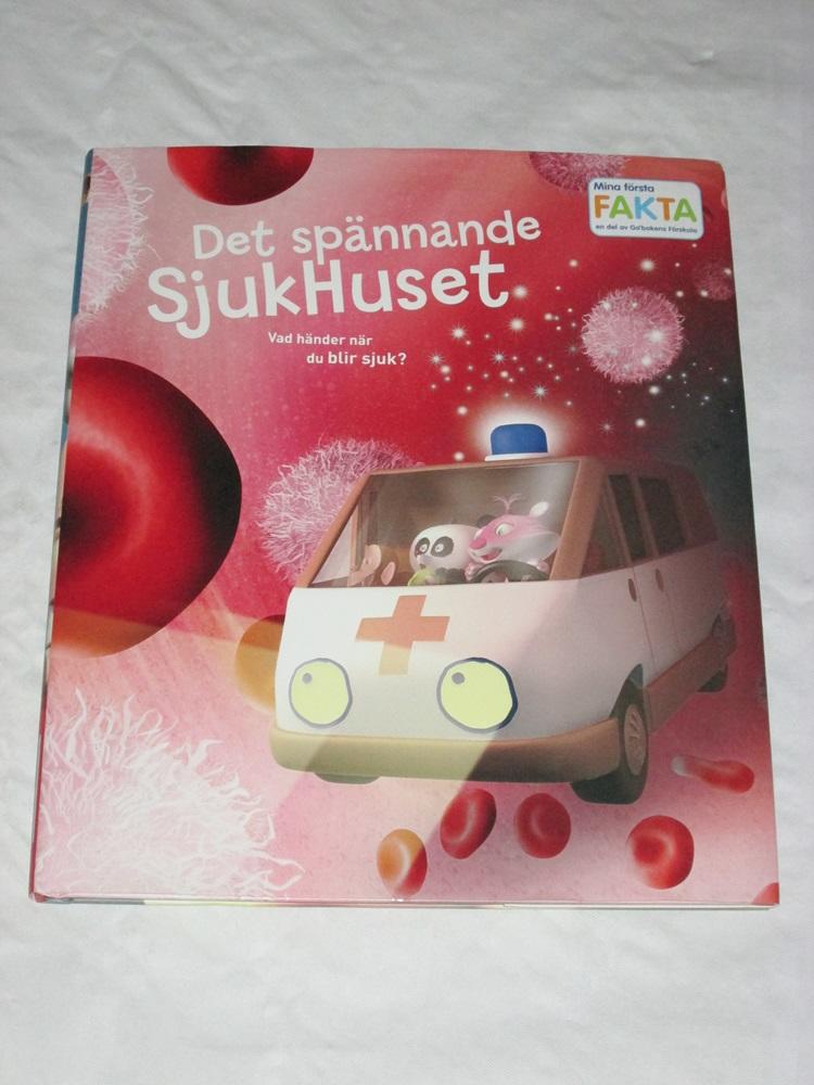 Det sp&auml;nnande sjukhuset : vad h&auml;nder n&auml;r du blir sjuk?