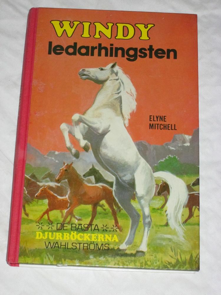 Windy, ledarhingsten