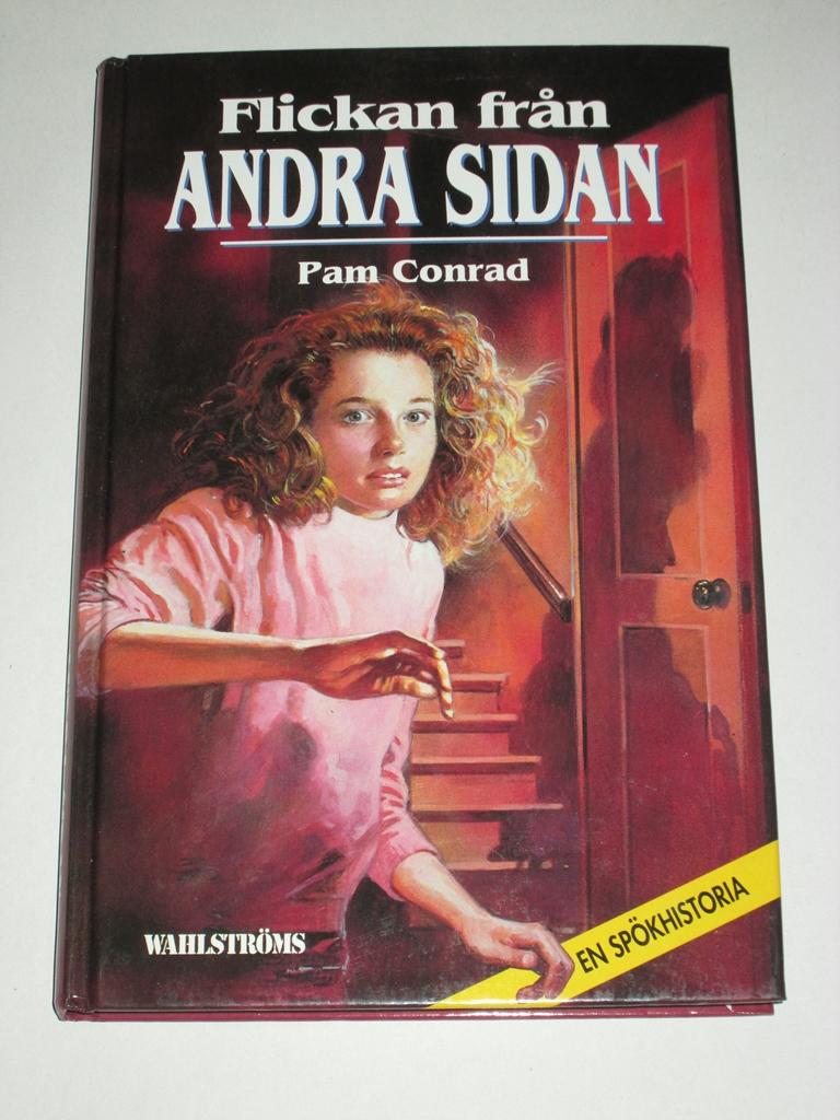 Flickan fr&aring;n andra sidan