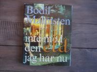 Inte med den eld jag har nu : dikt f&ouml;r annan dam