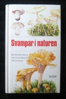 Svampar i naturen