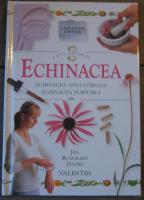 Echinacea