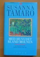 Med huvudet bland molnen