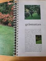 Tr&auml;dg&aring;rdens fyra &aring;rstider