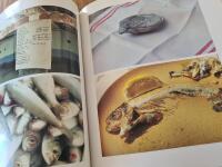 Bl&auml;ndare 8 och en nypa salt