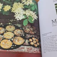 Sannas kokbok : mat fr&aring;n tr&auml;dg&aring;rd, skog och hav