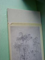 Naturen i v&aring;ra hj&auml;rtan