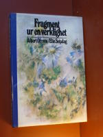 Fragment ur en verklighet