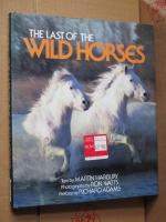The Last of the Wild Horses