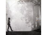 "ENCONTROS E DESPEDIDAS"