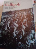 Gallipoli : f&ouml;rsta v&auml;rldskrigets st&ouml;rsta misstag