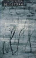 Bildstorm