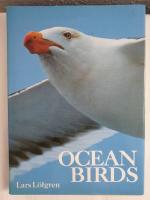 Ocean Birds