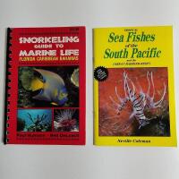 Tropical Sea Fishes South Pacific + Snorkeling Marine Life Florida...