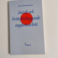 Socialt och brottsf&ouml;rebyggande ungdomsarbete