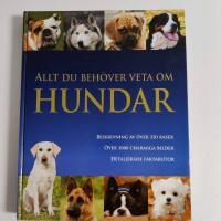 Allt du beh&ouml;ver veta om hundar