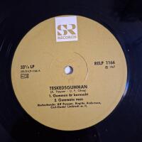 Teskedsgumman 2