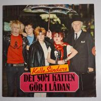 Det som katten gör i lådan