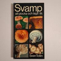 Svamp att plocka och laga