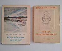 Bilder fr&aring;n mina vildmarks&aring;r + Mer &auml;n mantalskriven