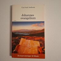 Bruksanvisningar till Bibeln - Johannes evangelium