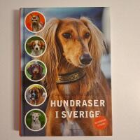 Hundraser i Sverige