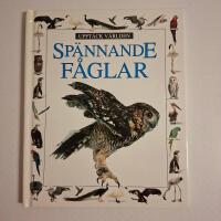 Sp&auml;nnande f&aring;glar