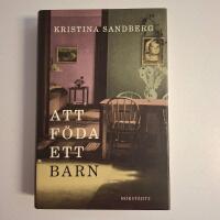 Att f&ouml;da ett barn