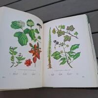 V&aring;r svenska flora i f&auml;rg I+II (m f&auml;rgplanscher)