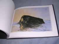 Vid Yttersk&auml;ren - natur, djur och v&auml;xter i akvarell