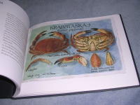 Vid Yttersk&auml;ren - natur, djur och v&auml;xter i akvarell