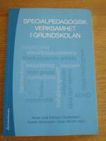 Specialpedagogisk verksamhet i grundskolan