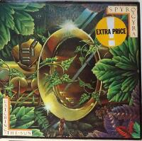 Catching the sun 1980