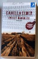 Fruset &ouml;gonblick