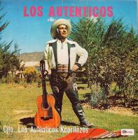 Los auténticos 1980