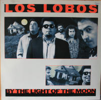 By the light of the moon