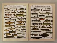 Fiskar i nedre Dal&auml;lven, Svenska rovfiskar i urval