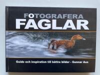 Fotografera f&aring;glar - Guide och inspiration till b&auml;ttre bilder