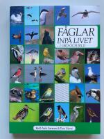 F&aring;glar inp&aring; livet - I ord och bild