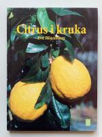 Citrus i kruka