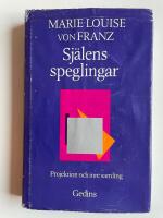 Sj&auml;lens speglingar - Projektion och inre samling i C. G. Jungs psykologi
