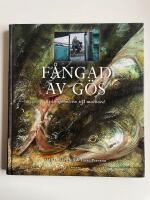 Fångad av gös - Från sjöbotten till matbord