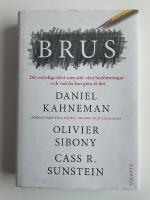 Brus - Det osynliga felet som st&ouml;r v&aring;ra bed&ouml;mningar - Och vad du kan g&ouml;ra &aring;t det