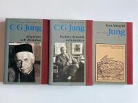 Valda skrifter av C. G. Jung - Arketyper och dr&ouml;mmar, Psykets dynamik och struktur + Att l&auml;sa Jung - Om arketyper, kultur, individuation, religion och politik