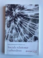 Sociala relationer i arbetslivet