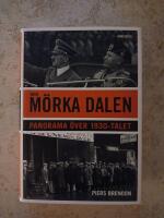Den m&ouml;rka dalen : Panorama &ouml;ver 1930-talet