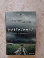 Nattavaara : roman i katastrofernas tid